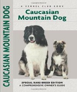 Caucasian Mountain Dog