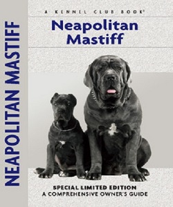 Neopolitan Mastiff