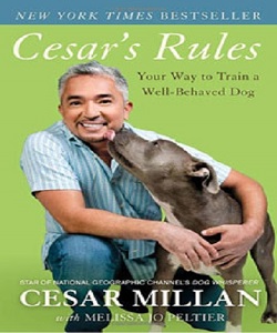 Cesar's Rules - Your way to train a well behaved dog