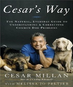 Cesar's Way